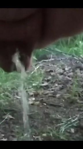 Want Me to Teabag You While I Piss?