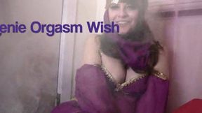 Genie Orgasm Wish (low res mp4)