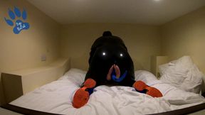 Rubber Pup pawing off in hotel