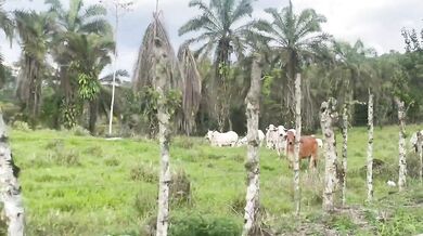 Sex on the Beach Ecuador South America