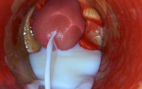 Inside POV Camera Captures an Intense Climax