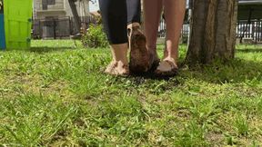 FOOTSIE IN THE MUD - MOV HD