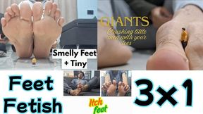 3 in 1 Foot Fetish