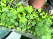 Close up outdoor piss on a wall