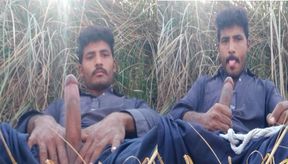 Gulzaminkhan77 big cock bbc