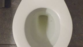 I PISS GOLD IN MY TOILET IN MY HOME