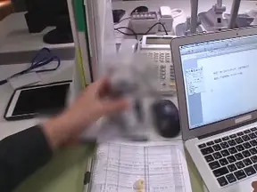 Innocent Asian office chick Rina Ishihara enjoys hardcore