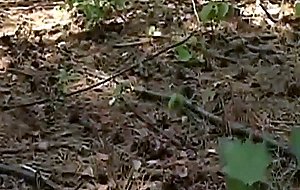 Sabrine mallory  porno chic 4: sarah