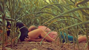 Corn play