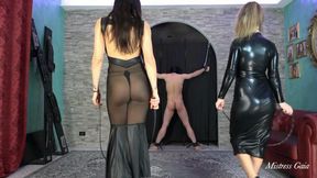 MISTRESS GAIA - FUNNY WHIPPING - HD