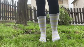 WALKING ON GRASS IN HER SOCKS - MOV Mobile Version