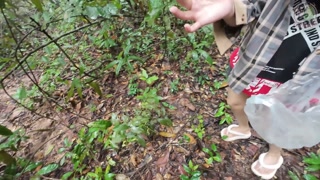 สาวไทยเดินคุยเล่นเก็บเห็ดในป่า แอบโชว์ในป่าลึก เสียงไทยชัด