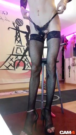 A French Shemale Bombshell Does a Live Striptease