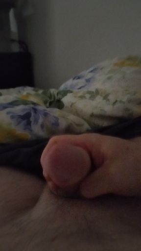 2026-05-07 morning jerking in the bed with big cumshot