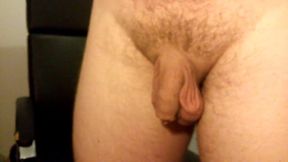 Erection closeup