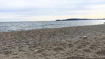 afternoon at the beach ... !