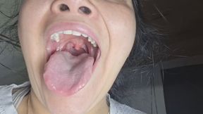 Would you like to look inside my insides?