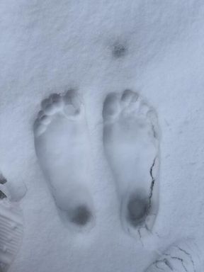 Snowy Toes