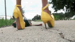 Stuck heel on the road WMV(1280x720)FHD