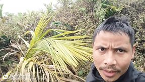 Inside the forest, the canar of the noody is enjoying high