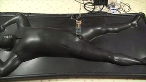 vacbed and estim being milked by venus 2000