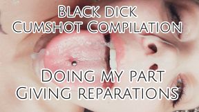 Black Dick Cumshot Compilation