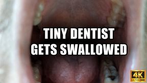 Tiny Dentist Gets Swallowed - 4k UHD 2160p - KingMarti