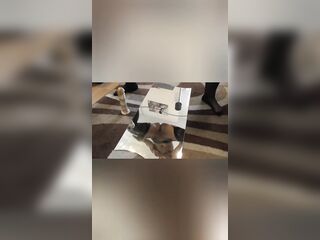 Large Booty Twerking Compilation - Mandy Foxxx Dance Undress Tease
