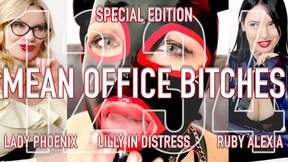 MEAN OFFICE BITCHES Special Edition