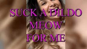 Suck a Dildo and MEOW For Me!