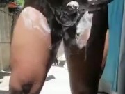 El salvador