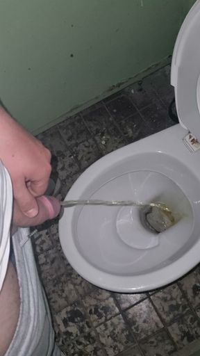 Peeing in an abandoned toilet