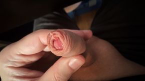 Play with my little cock and the long foreskin. (slow motion)