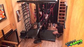 bianca, la nueva victima de minerva