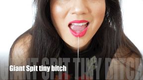 Giant spit tiny bitch - 4K