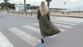 Taking Tim for a Walk WMV