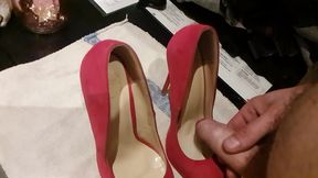 Beautiful Sexy Pumps of My Girlfriend's Friend.