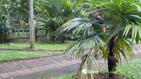 ENTRENAMIENTO AL AIRE LIBRE