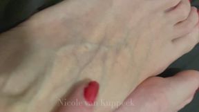 White veiny feet worship - Nicole van Kuppeck allows you to admire smell and kiss Her beautiful blue veins of Her feet
