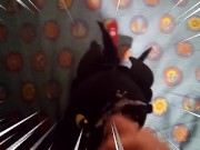 Dragon Toothless Plush In Head
