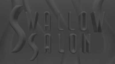 Hot Ladies Tease and Please at Swallow Salon