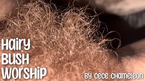 hairy bush worship