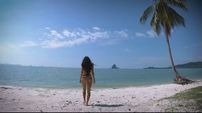 Micro bikini tease by sexy teen who walks on a beach