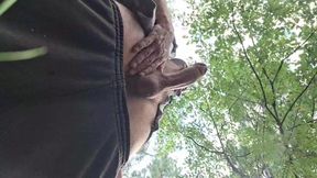 A long romp in the middle of nature