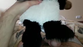 Panda plushie