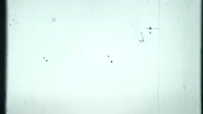 Intimate Blowjob - Real Life Couple - ForPlay Films