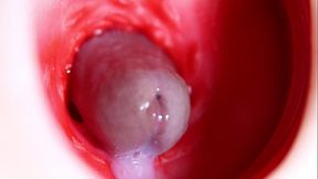 Nice big head slides inside best friend'_s sweet shiny hole!