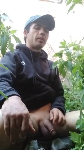 My Cock Want You
