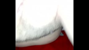 Vagina y culo manoseada