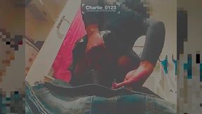 les plaisirs caches derriere la neige silencieuse